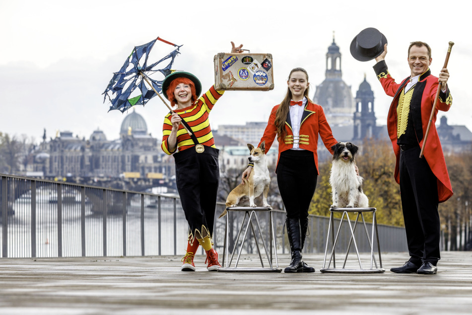 Dresden: Zum 25. Geburtstag! So schön wird Dresdens größter Weihnachts-Circus