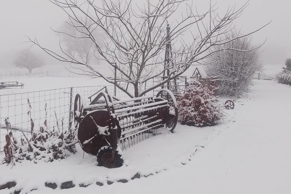 Seit Jahrzehnten ist in Australien nicht mehr so viel Schnee gefallen.