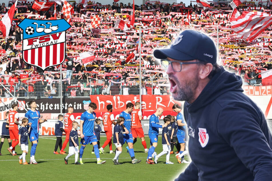 Großes Lob für Zwickau von Energie-Coach Wollitz: "Der beste Platz in dieser Liga"