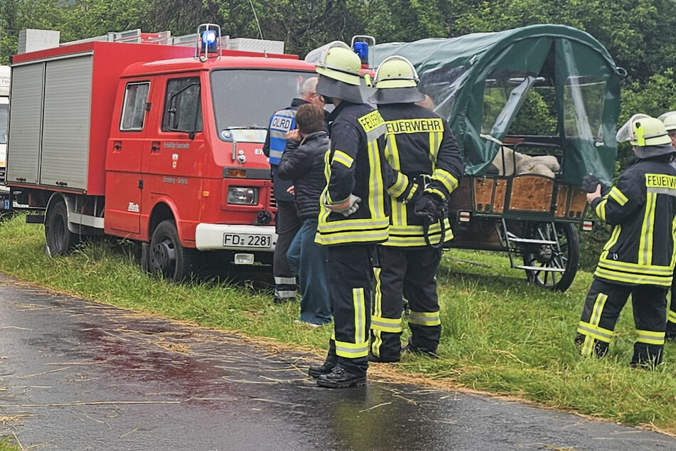 Die Feuerwehr hatte die 72 Jahre alte Frau befreien müssen, die unter der Kutsche eingeklemmt war.