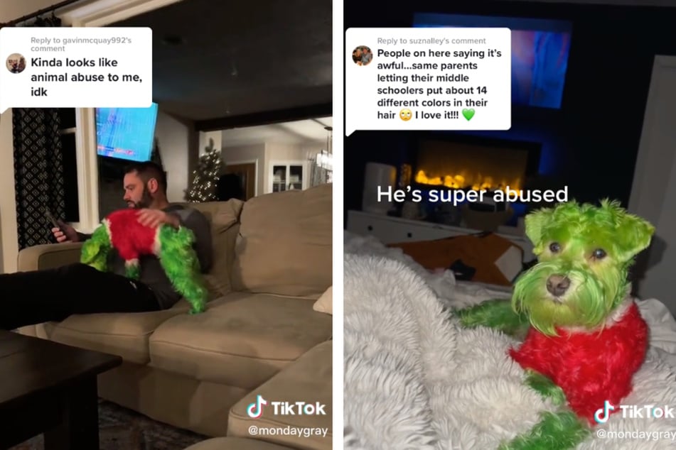 Die Kosmetikerin, die mit dem 37-jährigen Golfprofi Matthew Spielmann verheiratet ist, teilte mehrere Videos von ihrem "Grinch-Hund" zusammen mit der sarkastischen Bildunterschrift "Er ist total missbraucht".