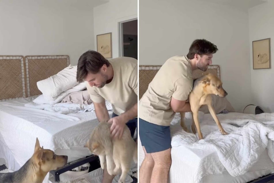 When Michael Brown wants to make his bed in the morning, his well-meaning dog and cat get in the way.