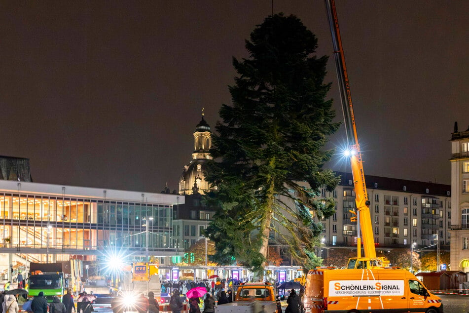 Per Kran wurde der Weihnachtsbaum aufgestellt.