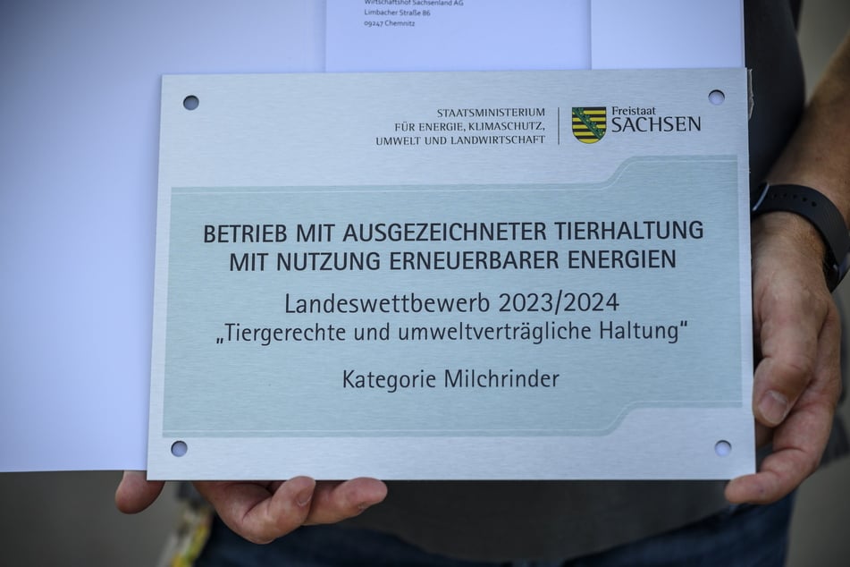 Der Wirtschaftshof Sachsenland wurde in der Kategorie "Milchrinder" ausgezeichnet.