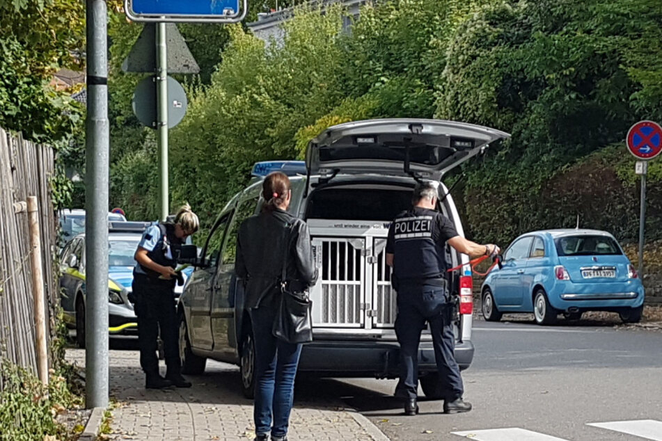 Polizisten setzen Sprengstoffhunde ein.