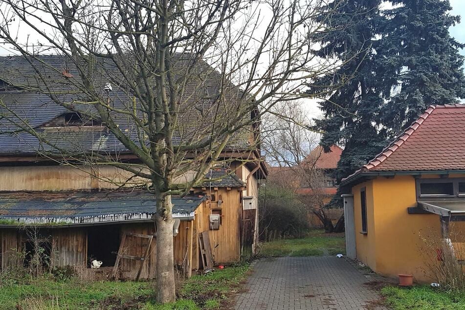 Elf Gebäude sollen bis Ende Oktober auf dem 14 Hektar großen Gelände zurückgebaut und ihre Flächen entsiegelt werden.