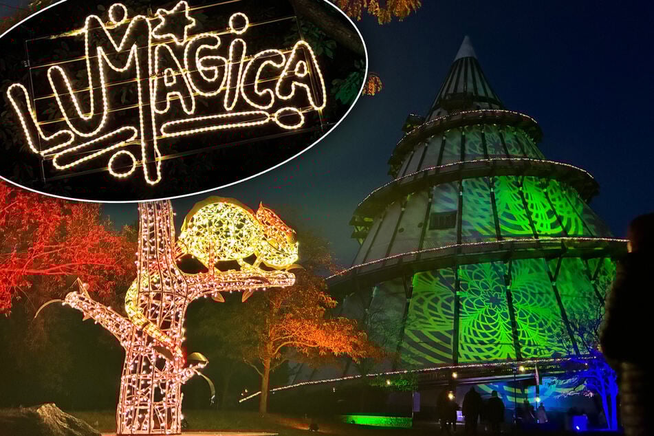 In 80 Tagen um die Welt: So schön wird Lumagica 2025 in Magdeburg