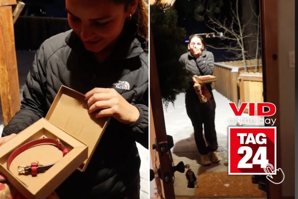 viral videos: Viral Video of the Day for December 15, 2024: Man surprises girlfriend with pawsome Christmas present