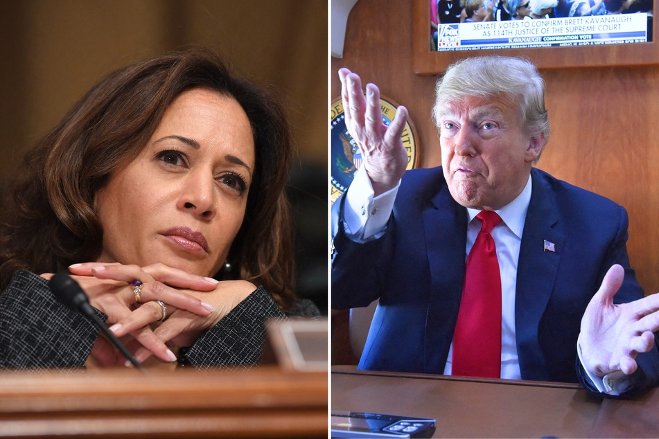 Trump has been using an insulting word for Kamala Harris behind closed doors, new report says