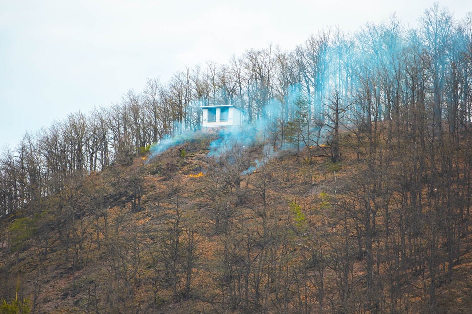 Die Grillreste hatten ein Feuer ausgelöst.