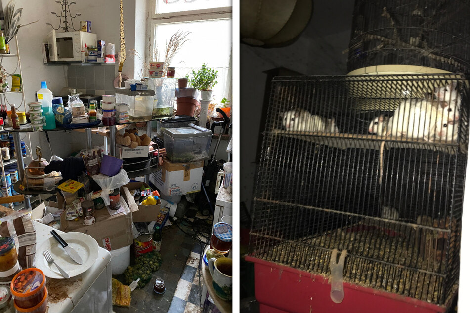 Halb Wohnung, halb Zoo: Bei der Räumungsaktion 2020 herrschten chaotische Zustände. Rechts tummelten sich fünf Mäuse in diesem Käfig.