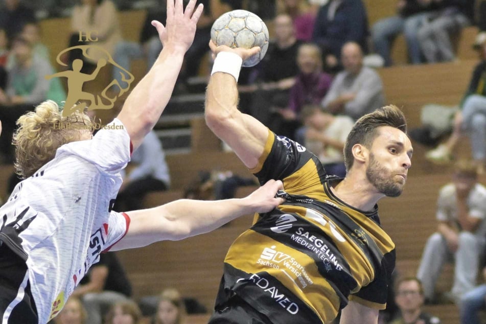 HC Elbflorenz auf der Jagd nach dem Spitzenduo: "Wir wollen darum kämpfen"