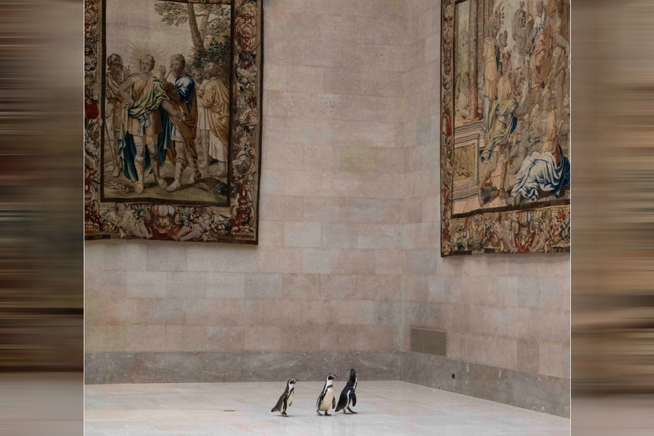 Die entzückenden Pinguine wanderten frei durch die Museumshallen, als sie alten Meisterwerke bewunderten.