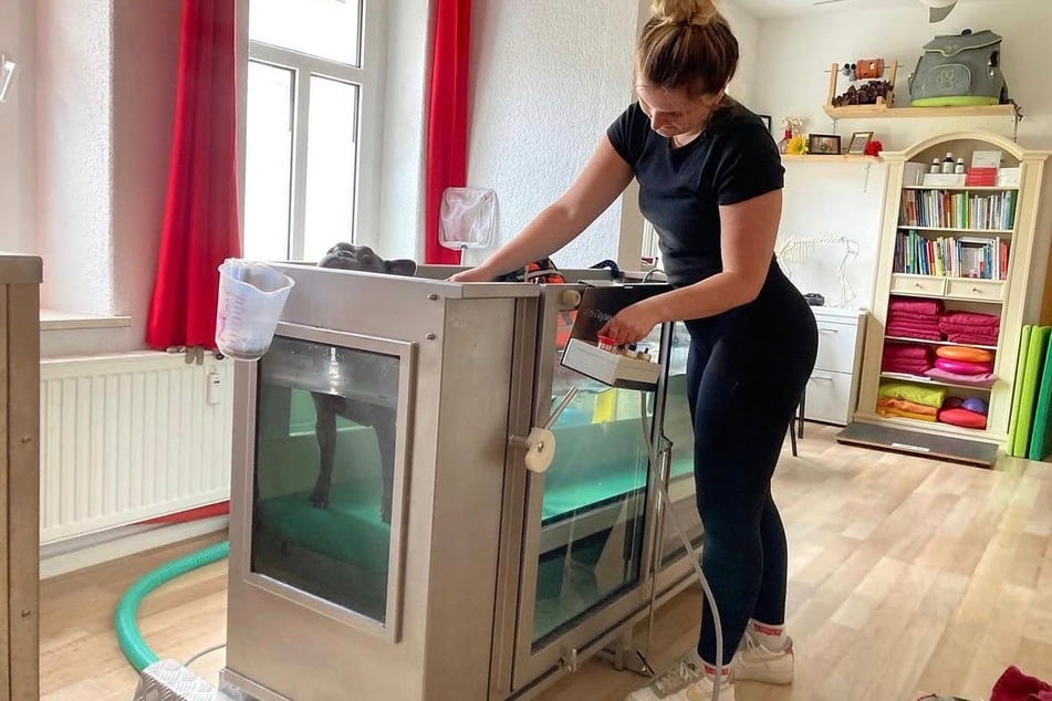 Das Unterwasserlaufband unterstützt den Muskelaufbau, verbessert das Gangbild und entlastet gleichzeitig die Gelenke.