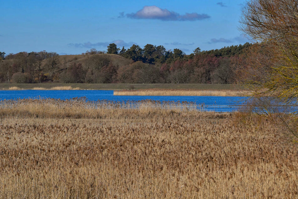 Ein Überschwemmtes Poldergebiet an der Oder im Nationalpark Unteres Odertal. Brandenburg hat acht Projekte im Rahmen des nationalen Hochwasserschutzprogrammes angemeldet.