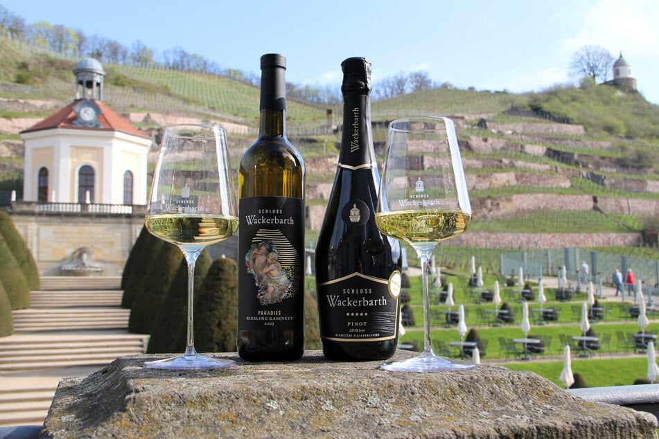 Auch an Schloss Wackerbarth ist der Freistaat beteiligt.