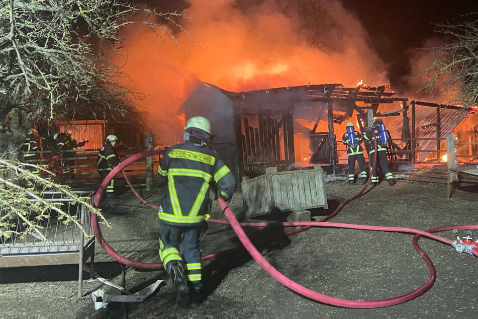Brand in Halberstadt: Aufmerksamer Zeuge rettet Tiere vor Feuer!