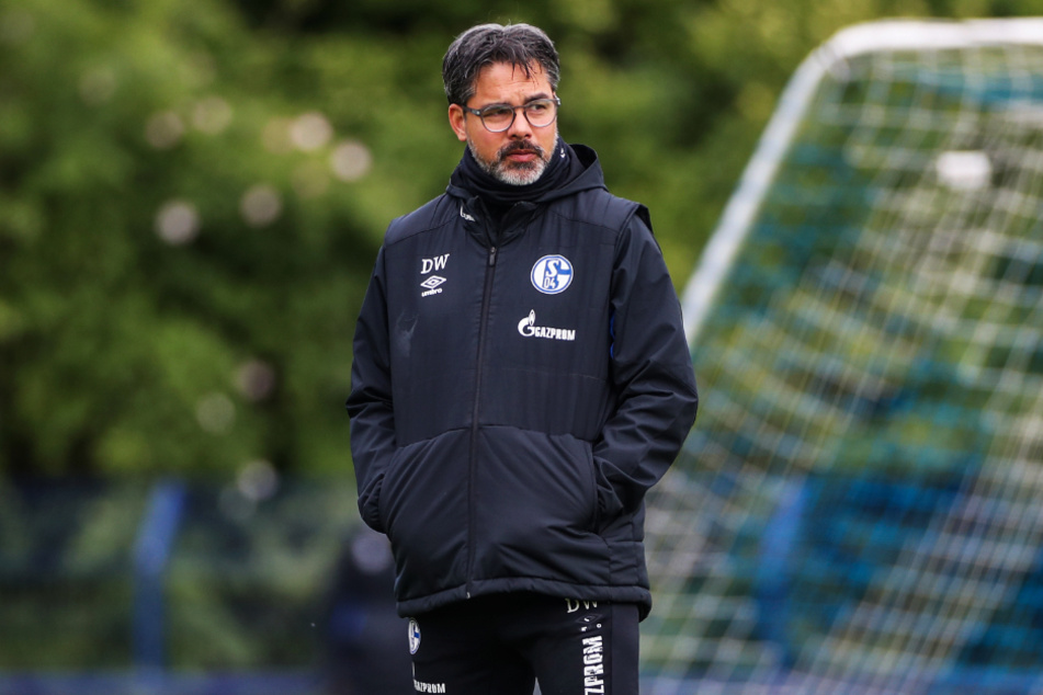 S04-Coach David Wagner weiß nicht genau, wo seine Mannschaft vor dem Revierderby steht. Lucien Favre dürfte es da nicht anders gehen.