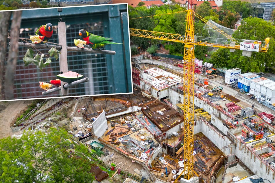 Großbaustelle Leipziger Zoo: So ist der Stand bei Feuerland & Co., so geht es weiter