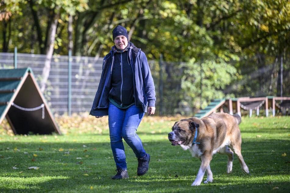 Ira Weißbach (44) vom Tierheim Chemnitz geht mit Hündin Maxi (9) Gassi.