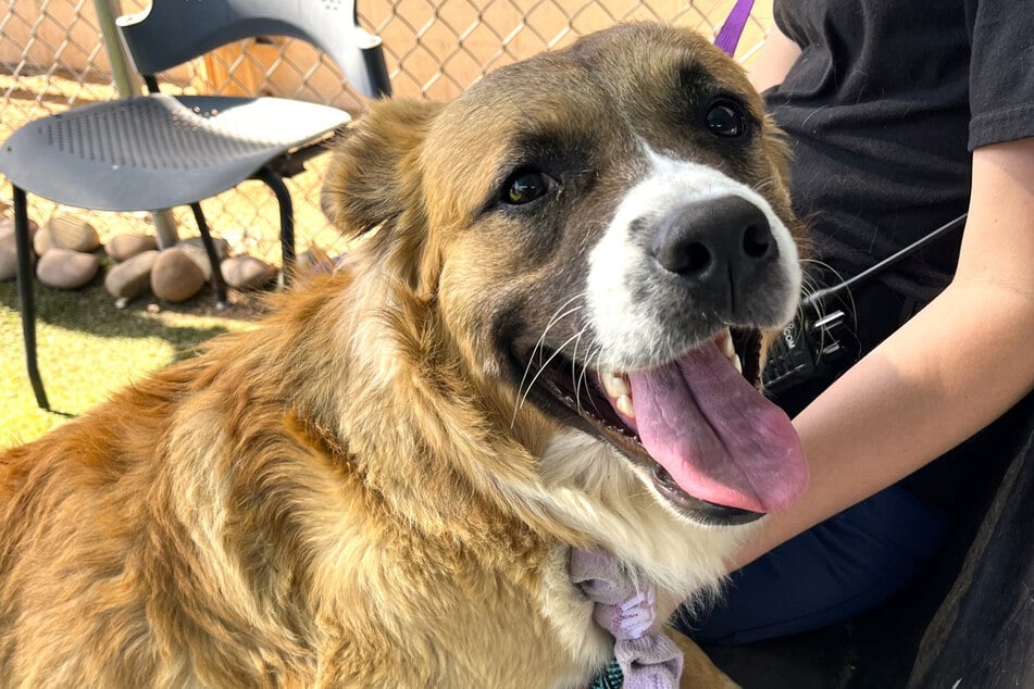 Letzten Endes stellte sich Jones als verschmuster Teddybär heraus, der nicht eine Sekunde ans Beißen dachte.