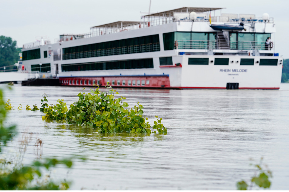 Ein Touristenschiff liegt auf dem Rhein bei Mannheim vor Anker. Die Schifffahrt soll nach dem Hochwasser im Laufe der Woche wieder freigegeben werden.