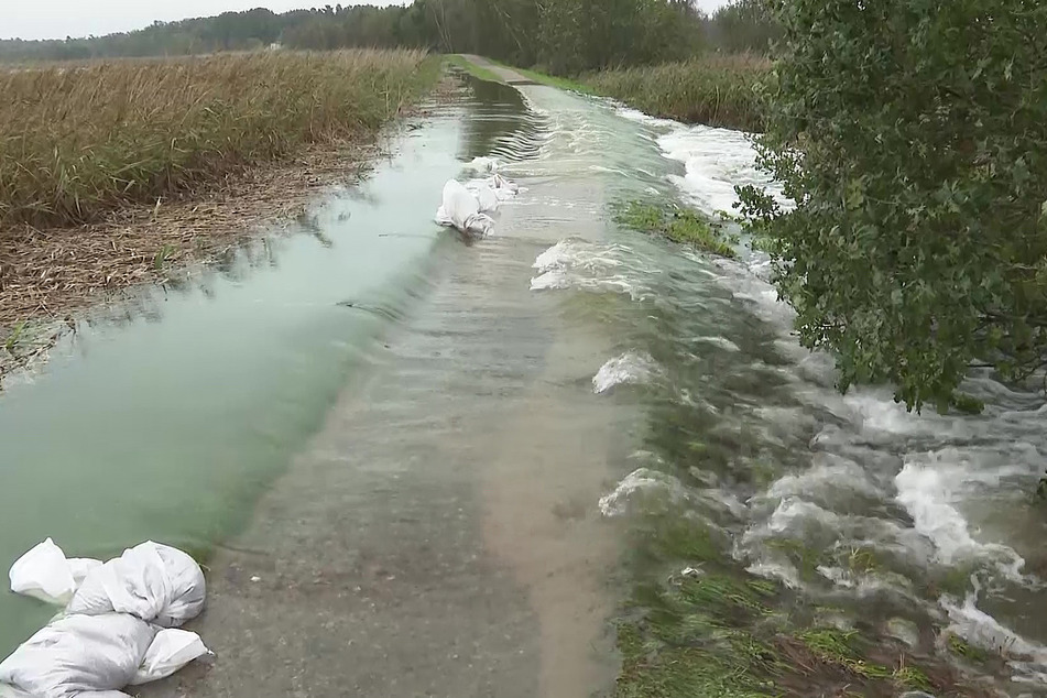 Der Deich in Wieck am Darß in Mecklenburg-Vorpommern ist an mehreren Stellen durchgebrochen.