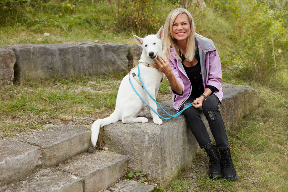 Nina Ruge (65), hier mit einem Tierschutzhund, möchte in Zukunft selbst einen Hund adoptieren.