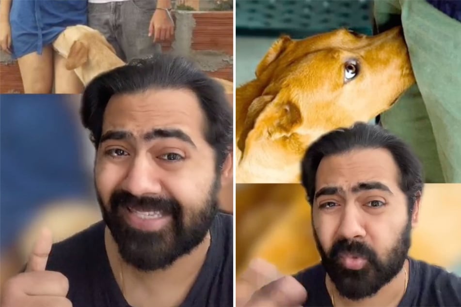 Dr. Karan Raj takes to TikTok to discuss a wide range of medical and scientific topics (collage).