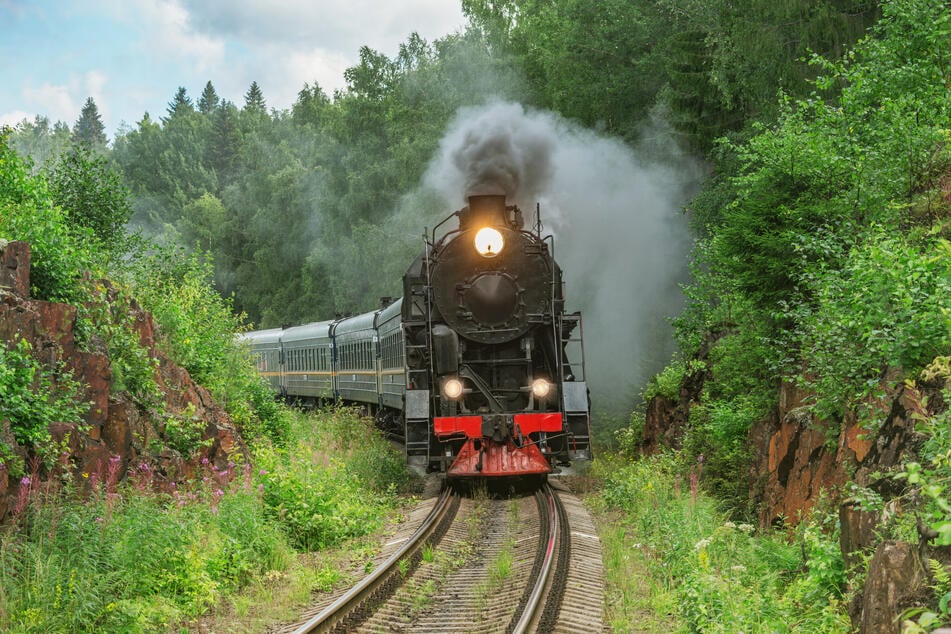 Die Kollision mit dem Dampfzug überlebte die Frau nicht. (Symbolfoto)