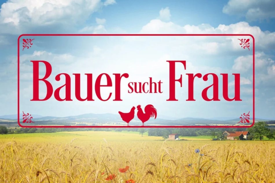 Das Erfolgsformat hat schon so manche langfristige Beziehung hervorgebracht.