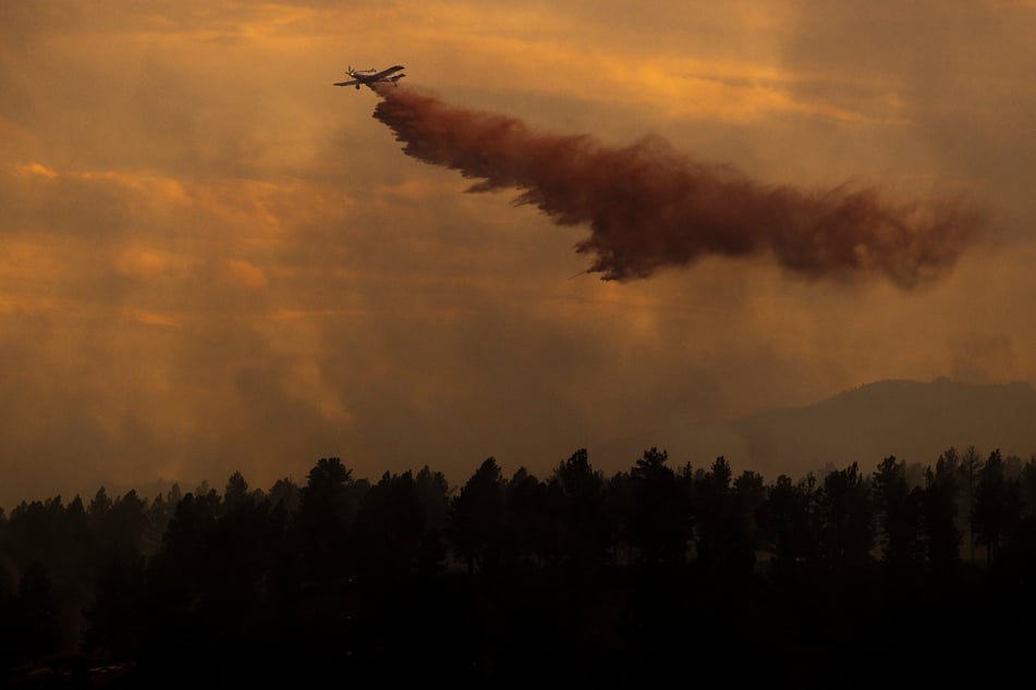 Man arrested for sparking wildfire after attempt to cremate his dog