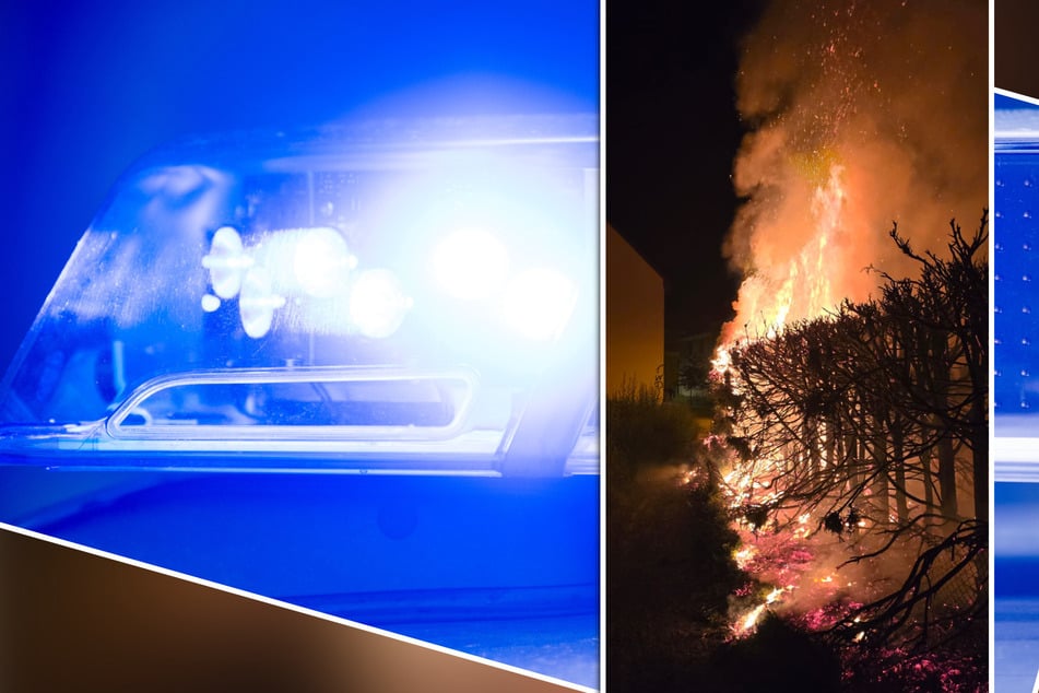 Kopfgeld ausgesetzt! Ermittler suchen Auto- und Hecken-Feuerteufel