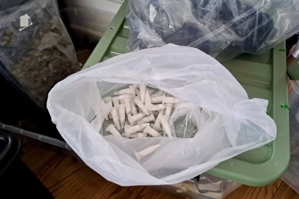 Berlin: Mega-Fund bei Kokstaxi-Razzia in Berlin: Polizei gelingt Schlag gegen Drogen-Quintett