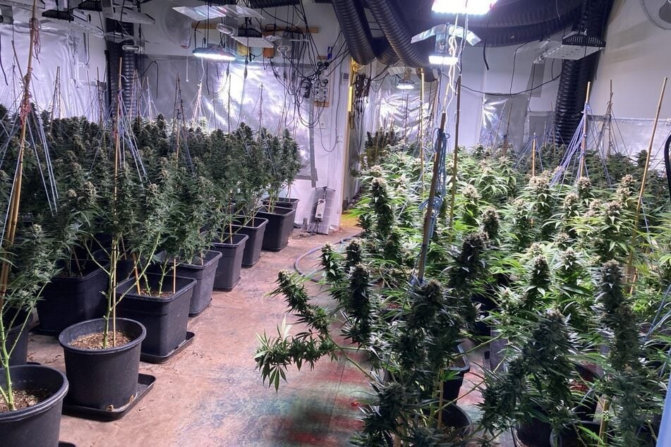 Ein leer stehendes Hotel in Bad Harzburg wurde als Cannabis-Plantage genutzt.