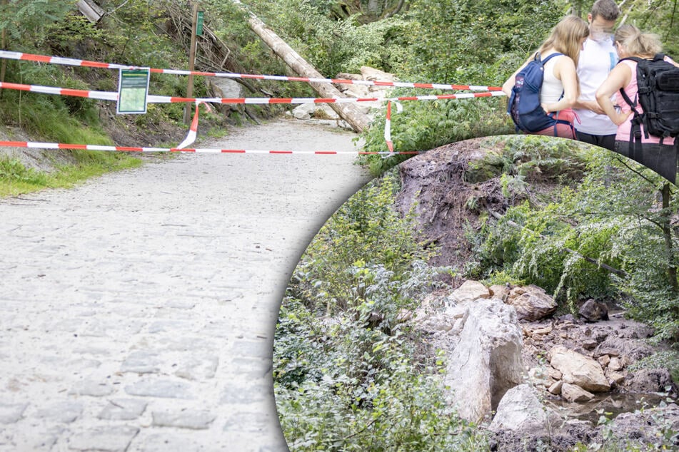 Fels auf beliebten Wanderweg in Sächsischer Schweiz gestürzt: So geht es jetzt weiter