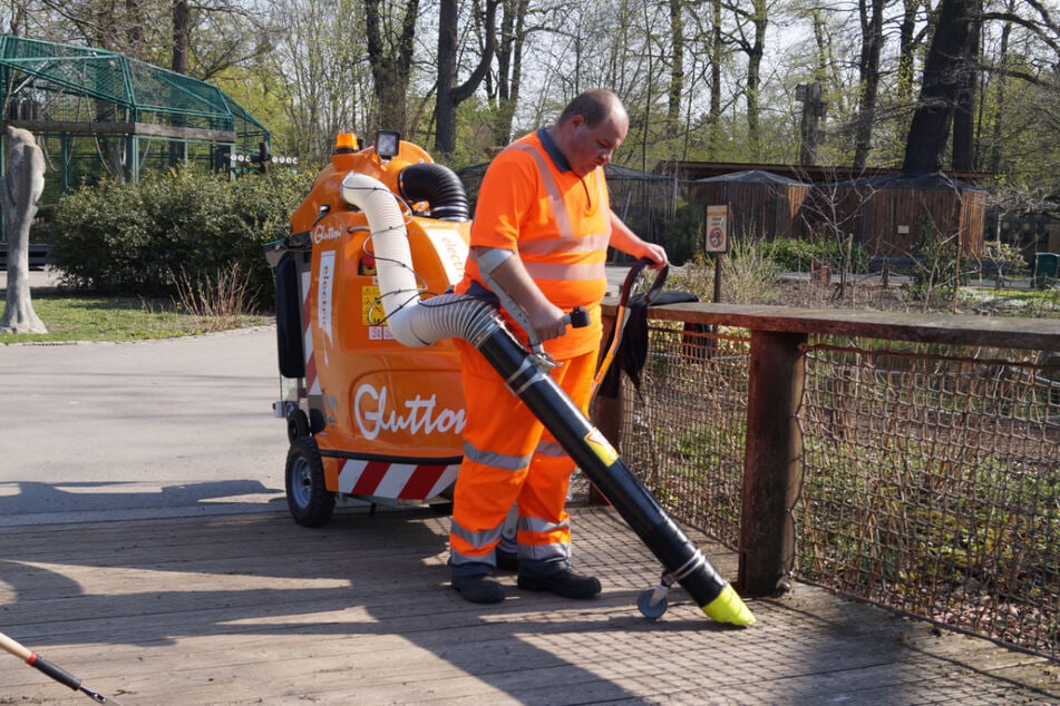 Bei der Stadtreinigung Dresden bieten sich tolle Jobchancen in verschiedensten Bereichen.