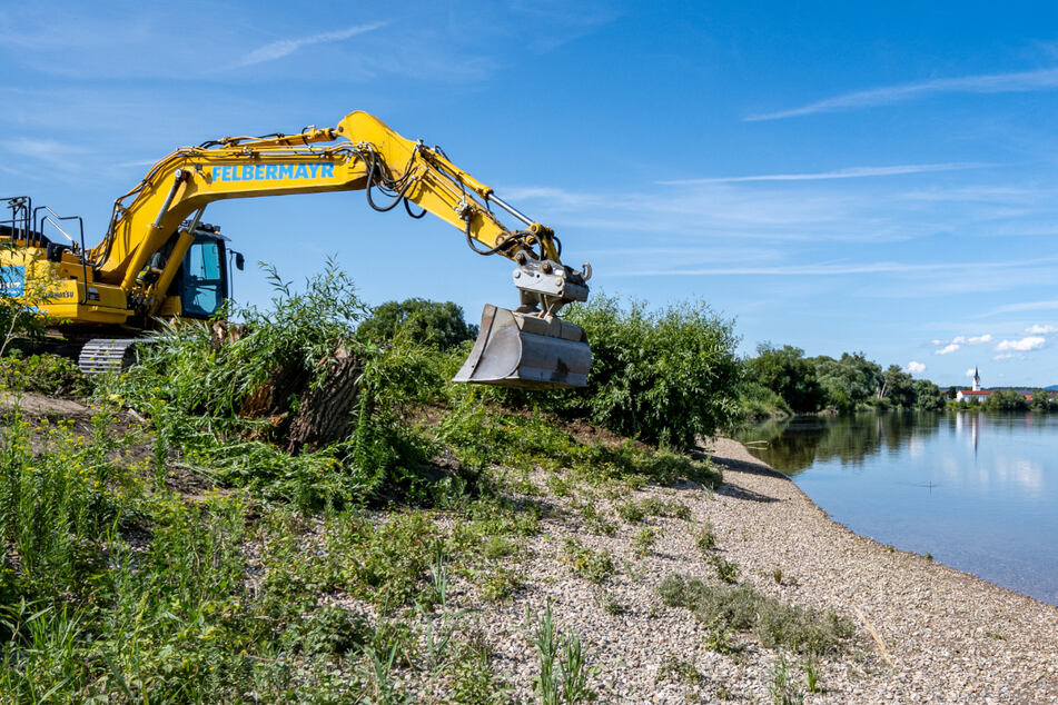 Gruseliger Fund in der Donau: Bagger bringt Schädel an die Oberfläche