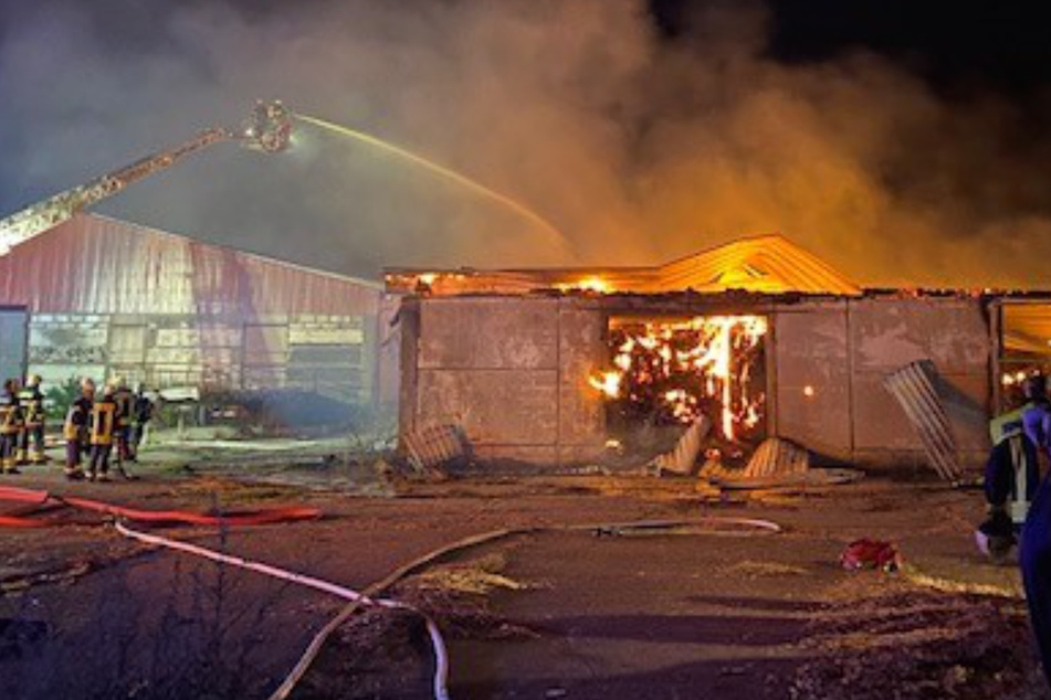 Halbe Million Euro Schaden! Großbrand im Harz hält Feuerwehren in Atem
