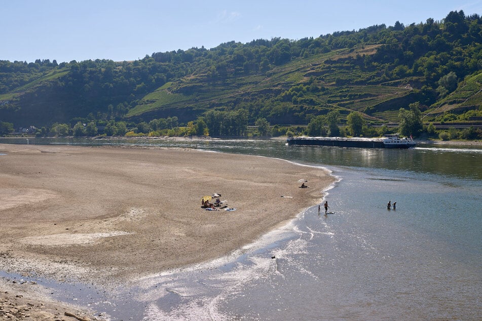 Krass: Fluss Ahr versickert vor Mündung in den Rhein