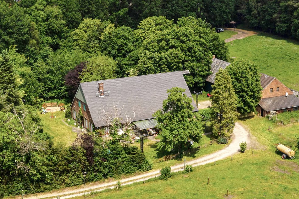 Im "Sommerhaus der Stars" mussten Ryan und Lina nach einem verlorenen Exit-Game ihre Koffer packen.