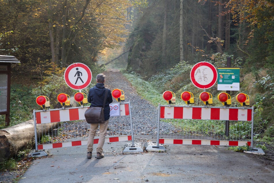 Nationalpark Sächsische Schweiz: So sieht es mit den Wanderwegen aus