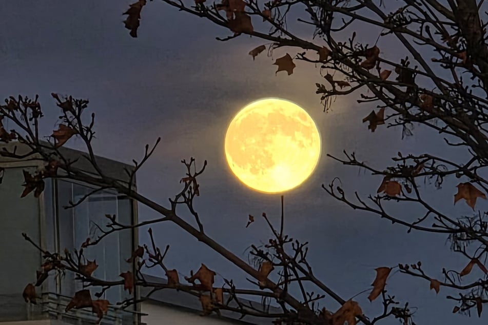 Auch in Dresden-Gorbitz waren beeindruckende Motive möglich.