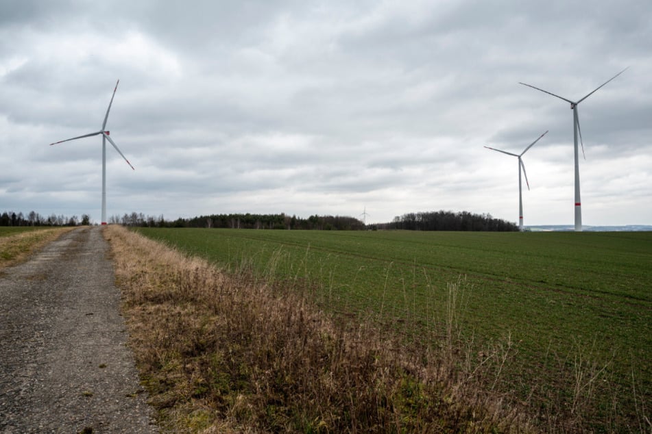 Der Windpark in Zwickau-Mosel ist 2022 ans Netz gegangen.