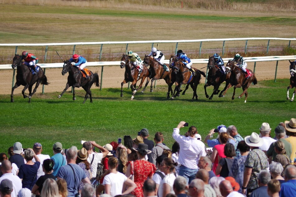 61.000 Euro Preisgelder stehen für die flinken Gespanne auf dem Spiel.
