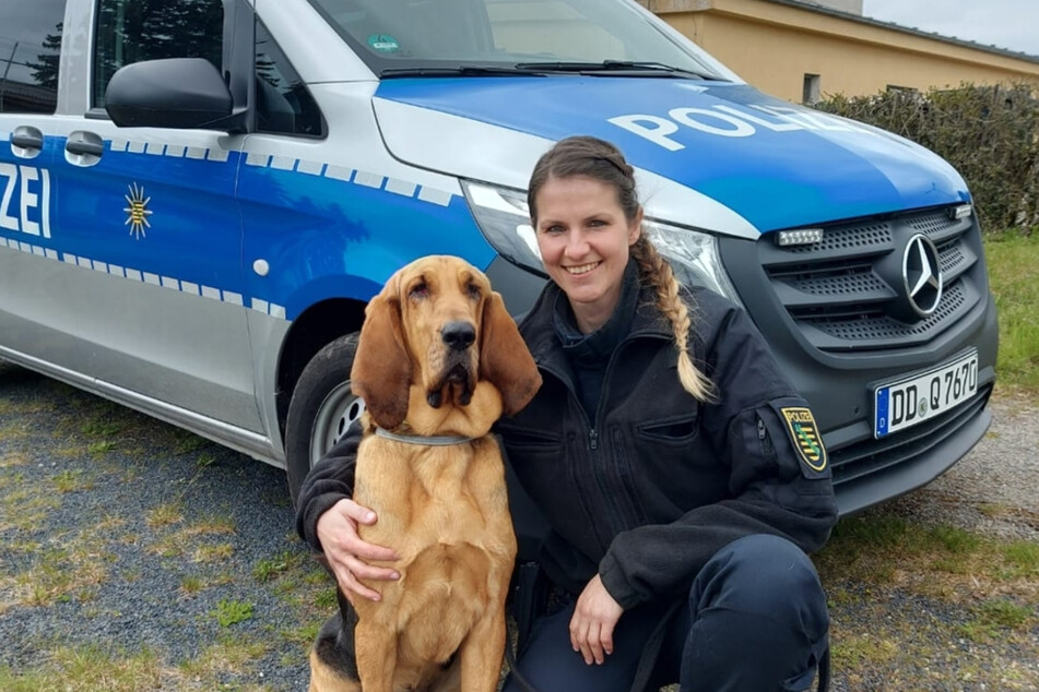 Im Juli 2021 rettete Hündin Hazel einen vermissten Mann (33) in Döbeln.