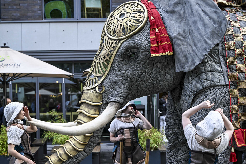 Für das Opern-Event "AIDA - Das Arena Opern Spektakel 2024" wurde auch die Elefantendame Ayana kreiert.