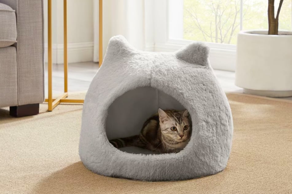 Your kitty won't want to leave this cozy cat bed at Chewy