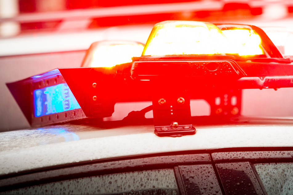 Bei einem schweren Verkehrsunfall im US-Bundesstaat Alabama sind nach einem Medienbericht zehn Menschen ums Leben gekommen.