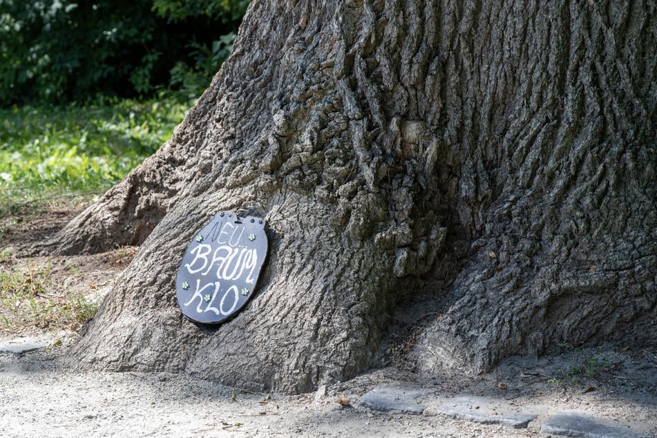 In Zittau gibt es nun ein "Baum Klo".